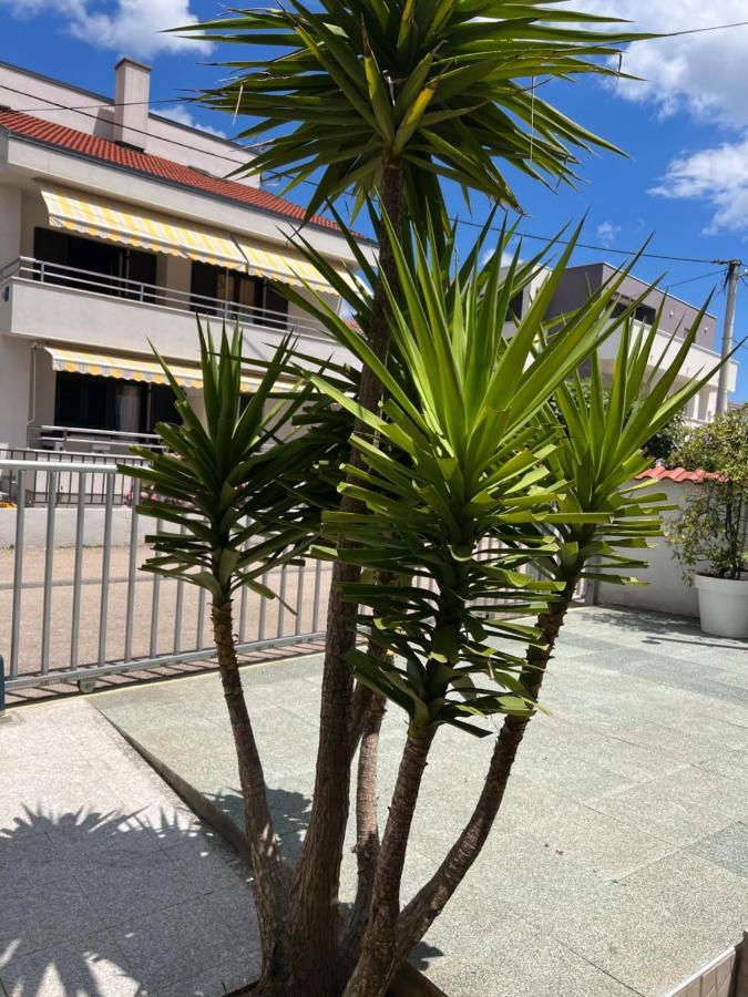 Appartement Lili Flora Zadar